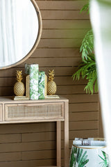 Botanical And Book Boxes (Set of 2) - White / Green