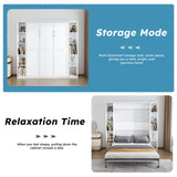Queen Murphy Bed With Storage Cabinet - White