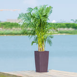 Large Self Watering Flower Pot With Drainage Holes & Inner Tray