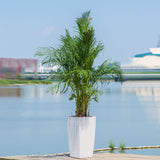 Large Self Watering Flower Pot With Drainage Holes & Inner Tray